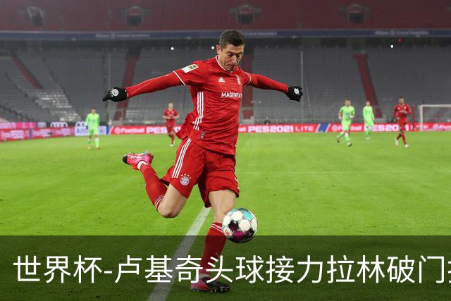 世界杯-卢基奇头球接力拉林破门扳平 加拿大1-1波黑